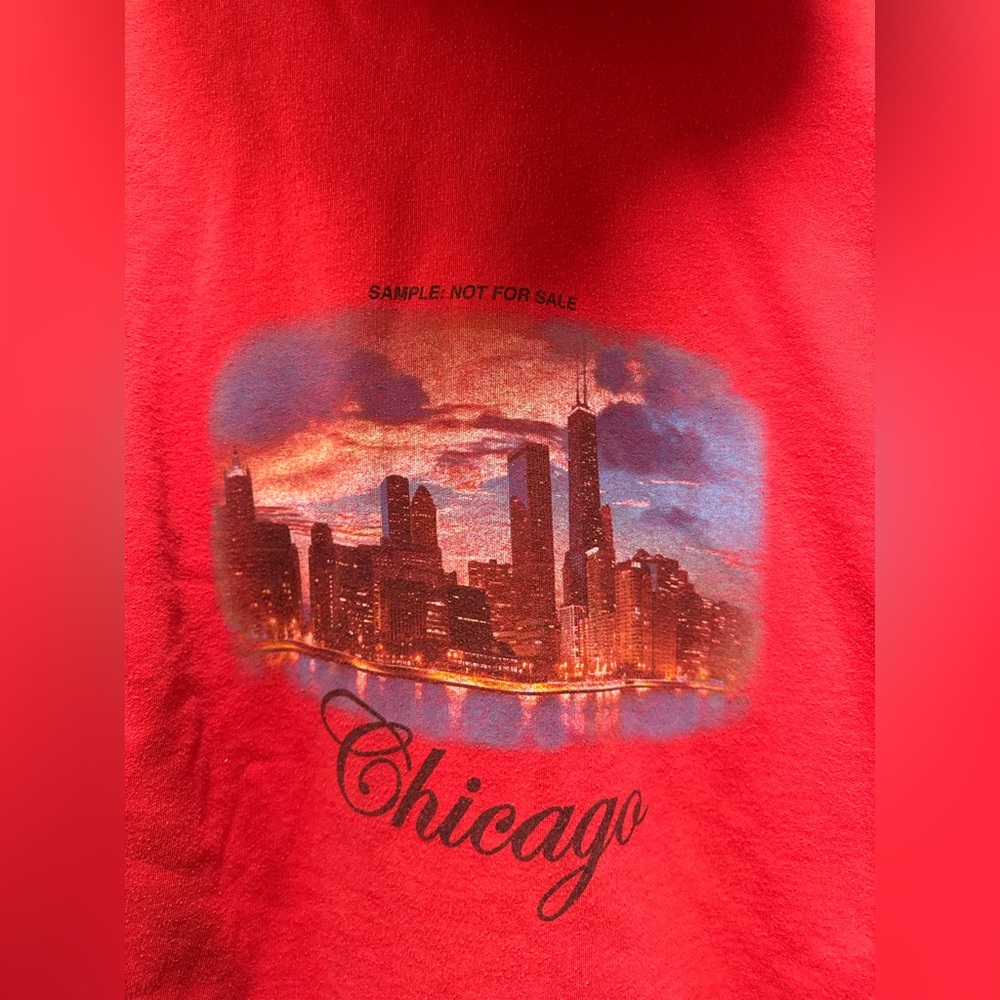 Aritzia TNA Red Chicago Hoodie